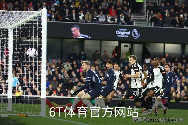 6T体育官方网站公司简介图片